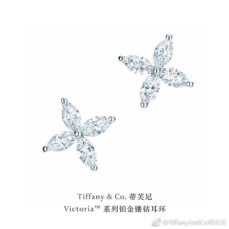 Tiffany earring 04lyx58